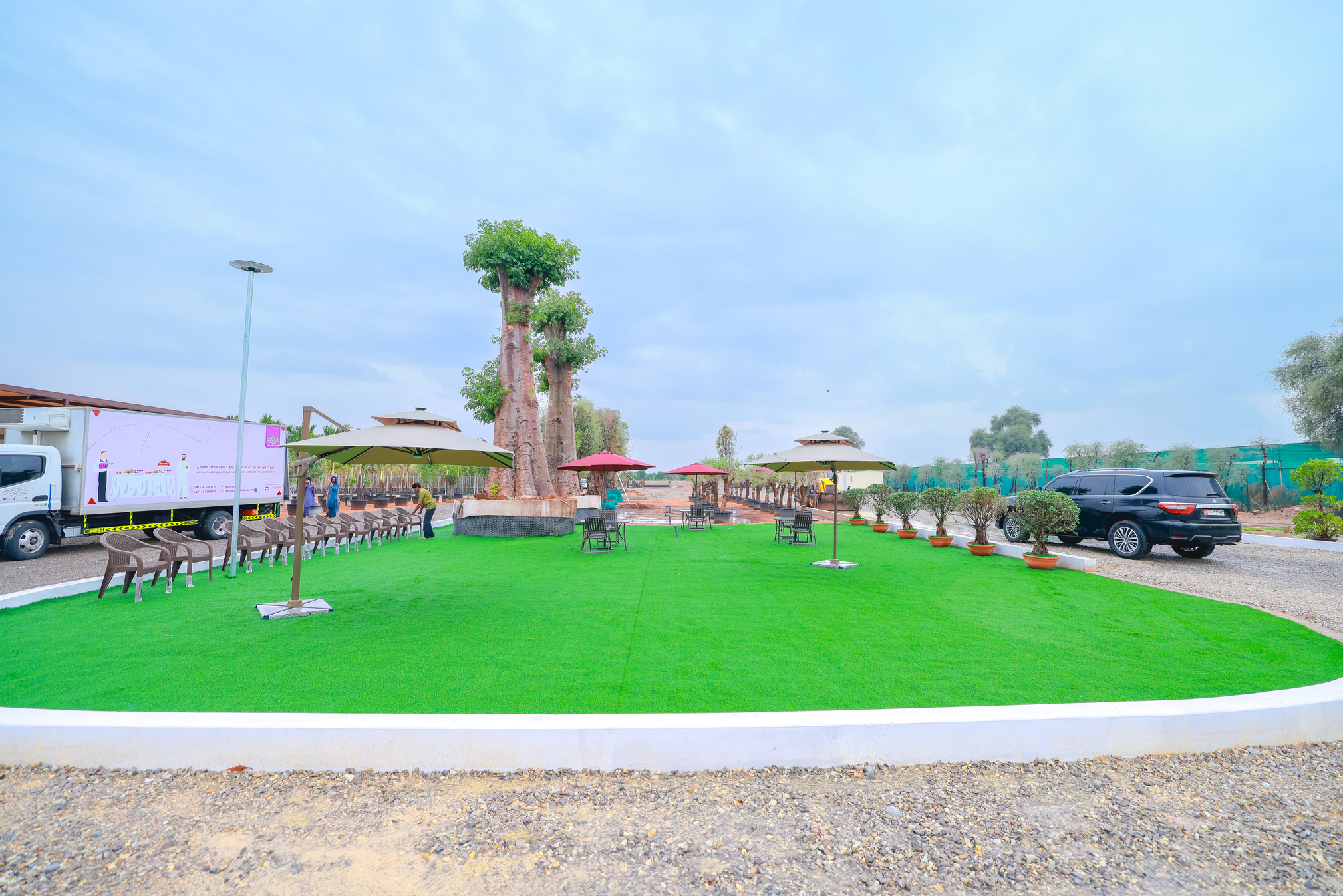Nursery field 2