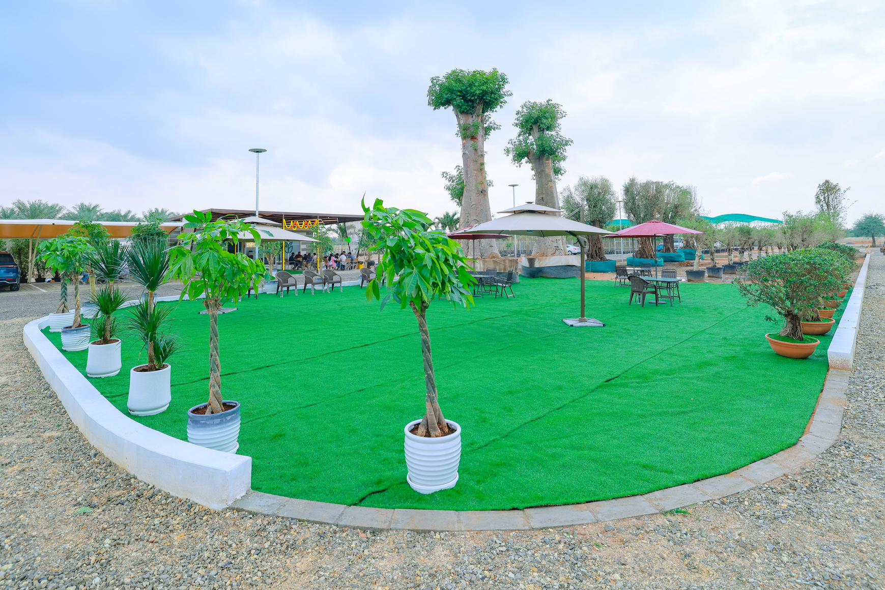 Nursery field 4
