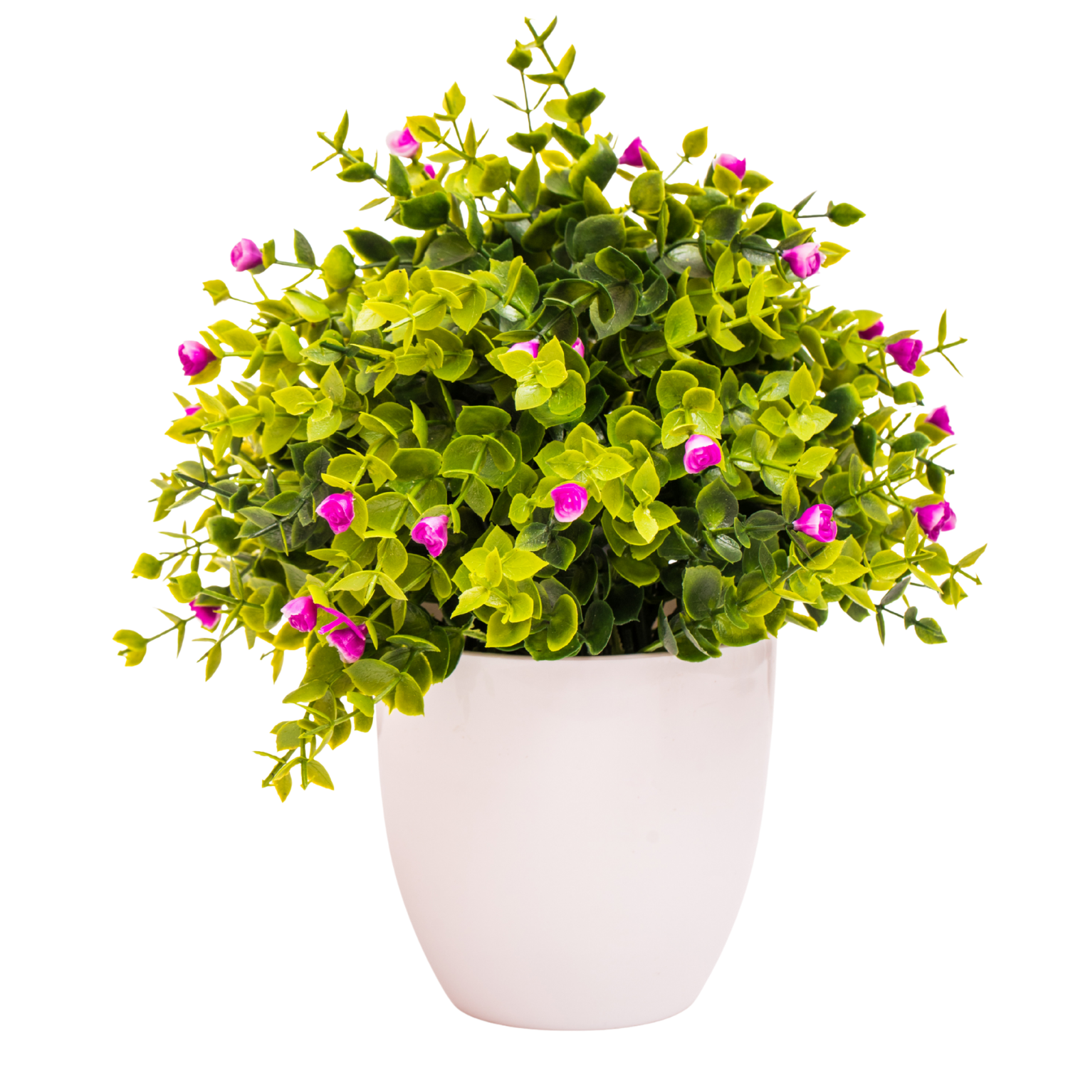 Flowering Plants