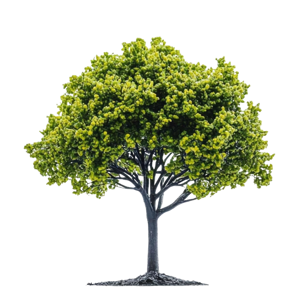 Forest Trees